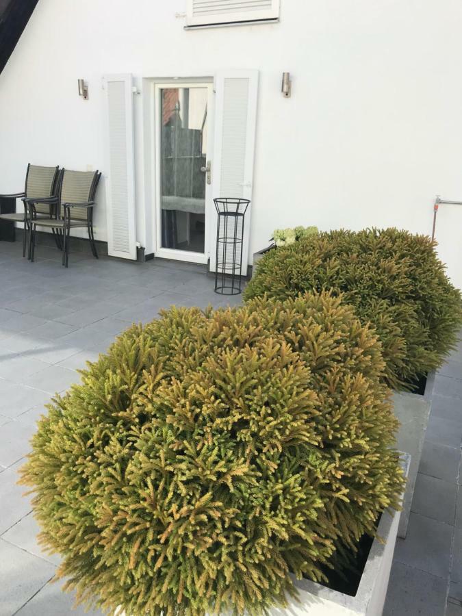 OrschweierCasa Christinaアパートメント エクステリア 写真